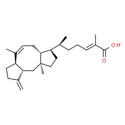 Ceroplasteric acid picture