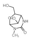 6-Oxa-2,4-diazabicyclo[3.2.1]octan-3-one,8-hydroxy-7-(hydroxymethyl)-4-methyl-, [1S-(exo,syn)]- (9CI)结构式