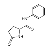 5-oxopyrrolidine-2-carboxanilide Structure