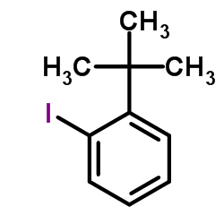 Benzene, 1-(1,1-dimethylethyl)-2-iodo- structure