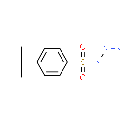 4-tert-Butylbenzenesulfonohydrazide Structure