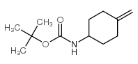 (4-Methylene-cyclohexyl)carbamic acid tert-butyl ester picture