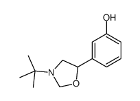 3-(3-tert-butyl-1,3-oxazolidin-5-yl)phenol Structure