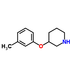 3--甲苯哌啶结构式