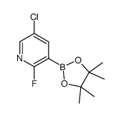 5-氯-2-氟吡啶-3-硼酸频那醇酯图片