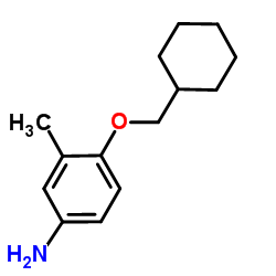 4-(Cyclohexylmethoxy)-3-methylaniline Structure