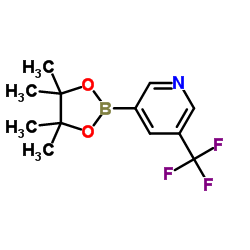 5-Trifluoromethylpyridine-3-boronic acid pinacol ester picture