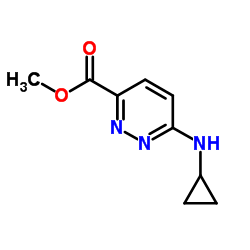 Methyl 6-(cyclopropylamino)-3-pyridazinecarboxylate结构式