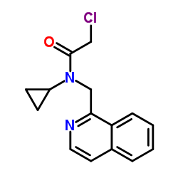 2-Chloro-N-cyclopropyl-N-(1-isoquinolinylmethyl)acetamide结构式