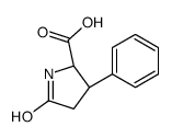 (2S,3R)-5-oxo-3-phenylpyrrolidine-2-carboxylic acid结构式