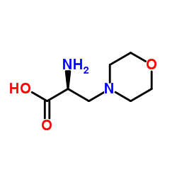 (S)-2-amino-3-Morpholinopropanoic acid结构式