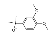 3,4-dimethoxycumyloxy radical Structure