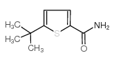 5-叔丁基噻吩-2-甲酰胺图片