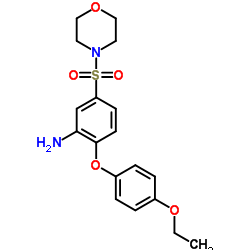 2-(4-ETHOXY-PHENOXY)-5-(MORPHOLINE-4-SULFONYL)-PHENYLAMINE结构式