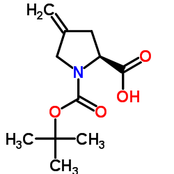 N-Boc-4-亚甲基-L-脯氨酸图片