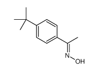 N-[1-(4-tert-butylphenyl)ethylidene]hydroxylamine结构式