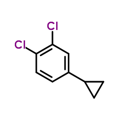 BENZENE, 1,2-DICHLORO-4-CYCLOPROPYL- structure