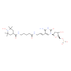 5-(3-(5-(2,2,6,6-tetramethyl-1-oxypiperidine-4-carboxamido)pentanamido)prop-1-enyl)-2'-deoxycytidine 5'-triphosphate结构式