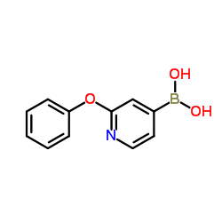 2-phenoxypyridin-4-boronic acid structure