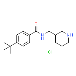 4-(叔丁基)-N-(哌啶-3-基甲基)苯甲酰胺盐酸盐结构式