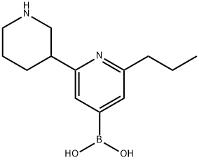 2-(n-Propyl)-6-(piperidin-3-yl)pyridine-4-boronic acid structure