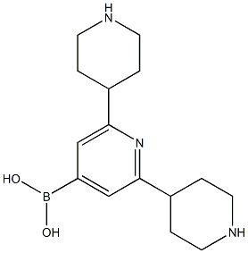 2,6-Di(piperidin-4-yl)pyridine-4-boronic acid结构式