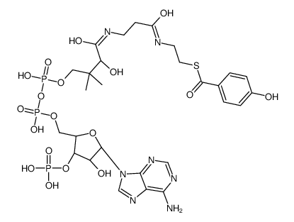 4-hydroxybenzoyl-CoA Structure