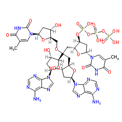 deoxy-(thymidylyl-adenylyl-thymidylyl-adenylic acid)结构式