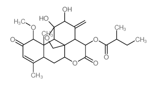 Dehydrailanthinone 1-methyl ether结构式