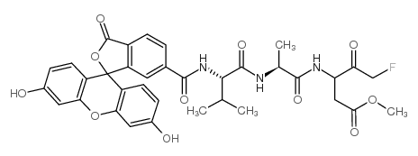 6-fam-vad(ome)-fmk结构式