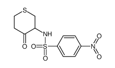 4-nitro-N-(4-oxothian-3-yl)benzenesulfonamide Structure
