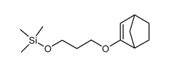 2-[3-[(trimethylsilyl)oxy]propoxy]bicyclo[2.2.1]hept-2-ene结构式