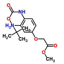 Methyl [3-amino-4-({[(2-methyl-2-propanyl)oxy]carbonyl}amino)phenoxy]acetate Structure