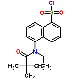 5-[(2,2-DIMETHYL-PROPIONYL)-ETHYL-AMINO]-NAPHTHALENE-1-SULFONYL CHLORIDE结构式