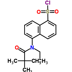 5-[(2,2-DIMETHYL-PROPIONYL)-ETHYL-AMINO]-NAPHTHALENE-1-SULFONYL CHLORIDE Structure