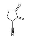 Cyclopentanecarbonitrile,2-methylene-3-oxo-结构式