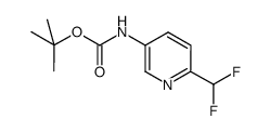 (6-difluoromethyl-pyridin-3-yl)-carbamic acid tert-butyl ester结构式