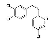 6-chloro-N-[(3,4-dichlorophenyl)methyl]pyridazin-3-amine结构式