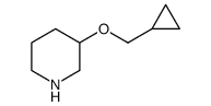 3-(环丙基甲氧基)哌啶结构式