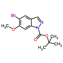 1-Boc-5-bromo-6-Methoxy-1H-indazole structure