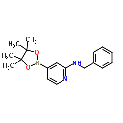 N-benzyl-4-(4,4,5,5-tetramethyl-1,3,2-dioxaborolan-2-yl)pyridin-2-amine structure