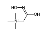 [2-(hydroxyamino)-2-oxoethyl]-trimethylazanium结构式