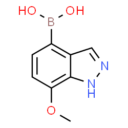 7-Methoxy-1H-indazole-4-boronic acid structure