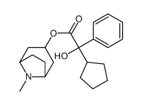 (8-methyl-8-azabicyclo[3.2.1]octan-3-yl) 2-cyclopentyl-2-hydroxy-2-phenylacetate Structure