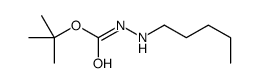 Hydrazinecarboxylic acid, 2-pentyl-, 1,1-dimethylethyl ester (9CI)结构式