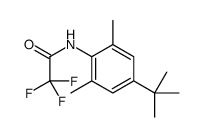 N-(4-tert-butyl-2,6-dimethylphenyl)-2,2,2-trifluoroacetamide结构式