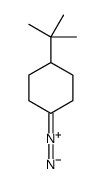 1-tert-butyl-4-diazocyclohexane结构式