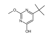 6-tert-butyl-2-methoxy-3H-pyrimidin-4-one Structure