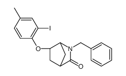3-benzyl-5-(2-iodo-4-methylphenoxy)-3-azabicyclo[2.2.1]heptan-2-one结构式