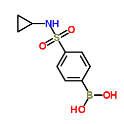 [4-(Cyclopropylsulfamoyl)phenyl]boronic acid Structure